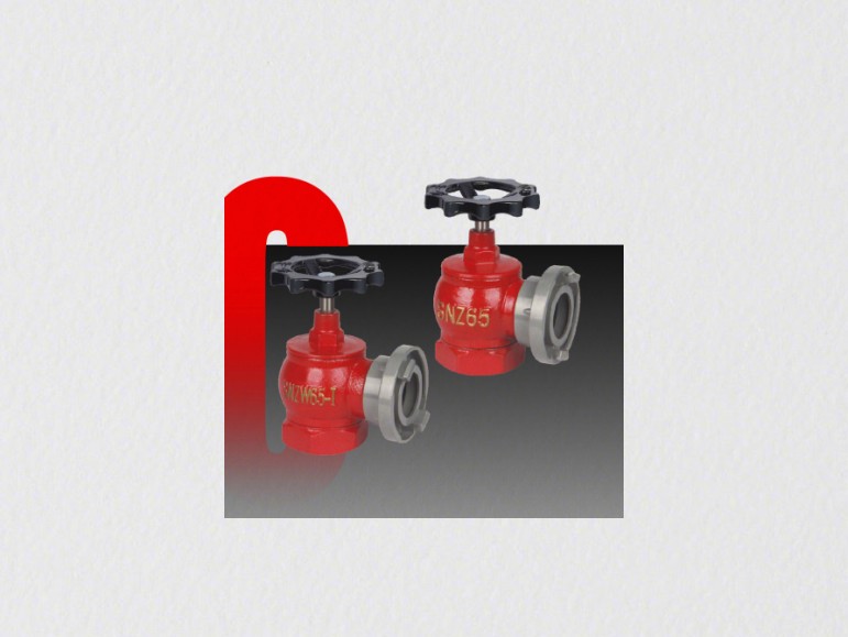 ��������˨